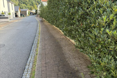 IMG_1208